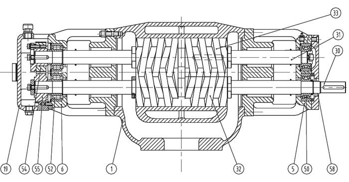 雙螺(luo)杆泵結構(gòu)圖