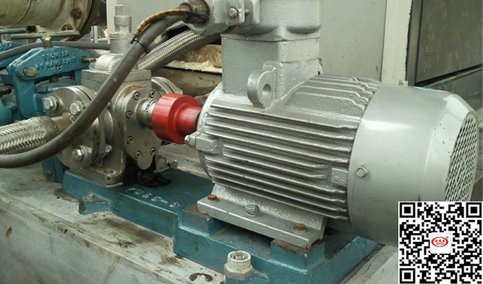 不(bu)鏽鋼齒(chi)輪泵